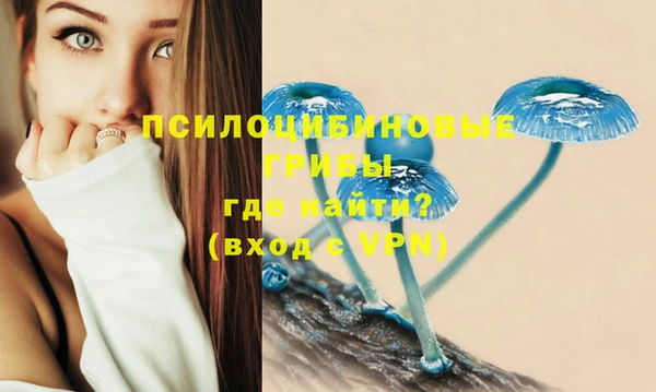 ГАЛЛЮЦИНОГЕННЫЕ ГРИБЫ Кущёвская