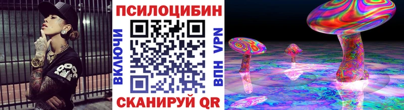 Купить закладки  Нестеров  Псилоцибиновые грибы GOLDEN TEACHER 